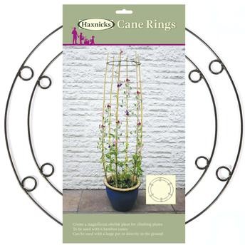 Haxnicks Cane Ring Set (55 x 45 cm, 2 pcs)