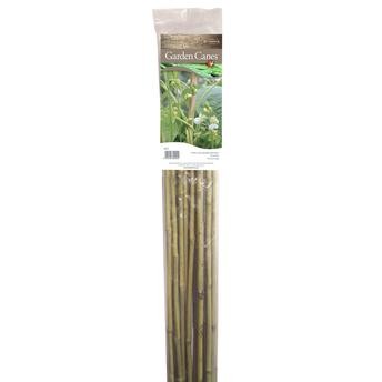 Tildenet Heavy Duty Bamboo Garden Canes Pack (210 cm, 8 Pc.)