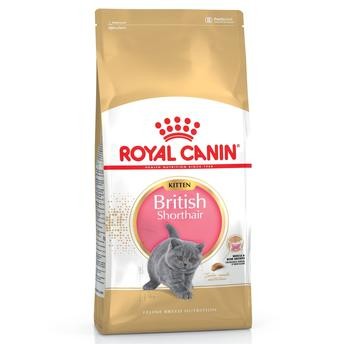 طعام جاف للقطط البريطانية قصيرة الشعر رويال كانين فيلاين بريد نيوتريشن (هرر، 2 كجم)