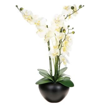 Artificial Orchid Plant W/Pot (47 x 47 x 56 cm)