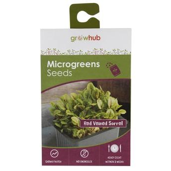 Growhub Microgreen Red Veined Sorrel Seeds Pack