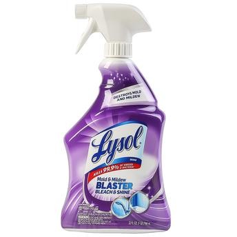 Lysol Mold & Mildew Stain Remover