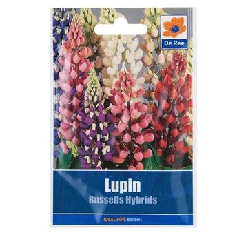 De Ree Lupin Russell Hybrids Seeds