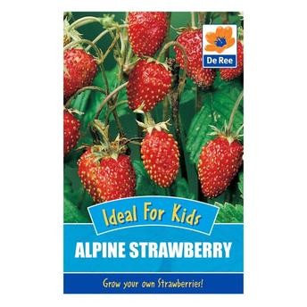De Ree Alpine Strawberry Seeds