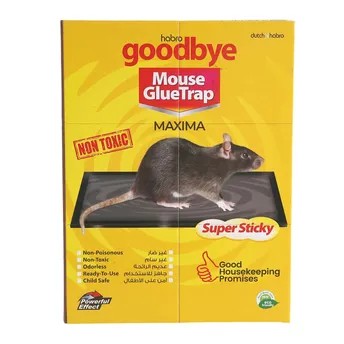 Goodbye Maxima Mouse Glue Trap