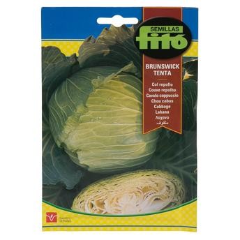 Semillas Fito Col Repollo Brunswick-Tenta (Cabbage) Seeds