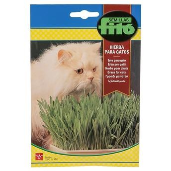 Fito Grass for Cat Seeds