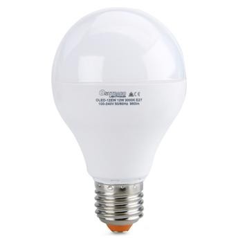 Oshtraco E27 12W LED Lamp
