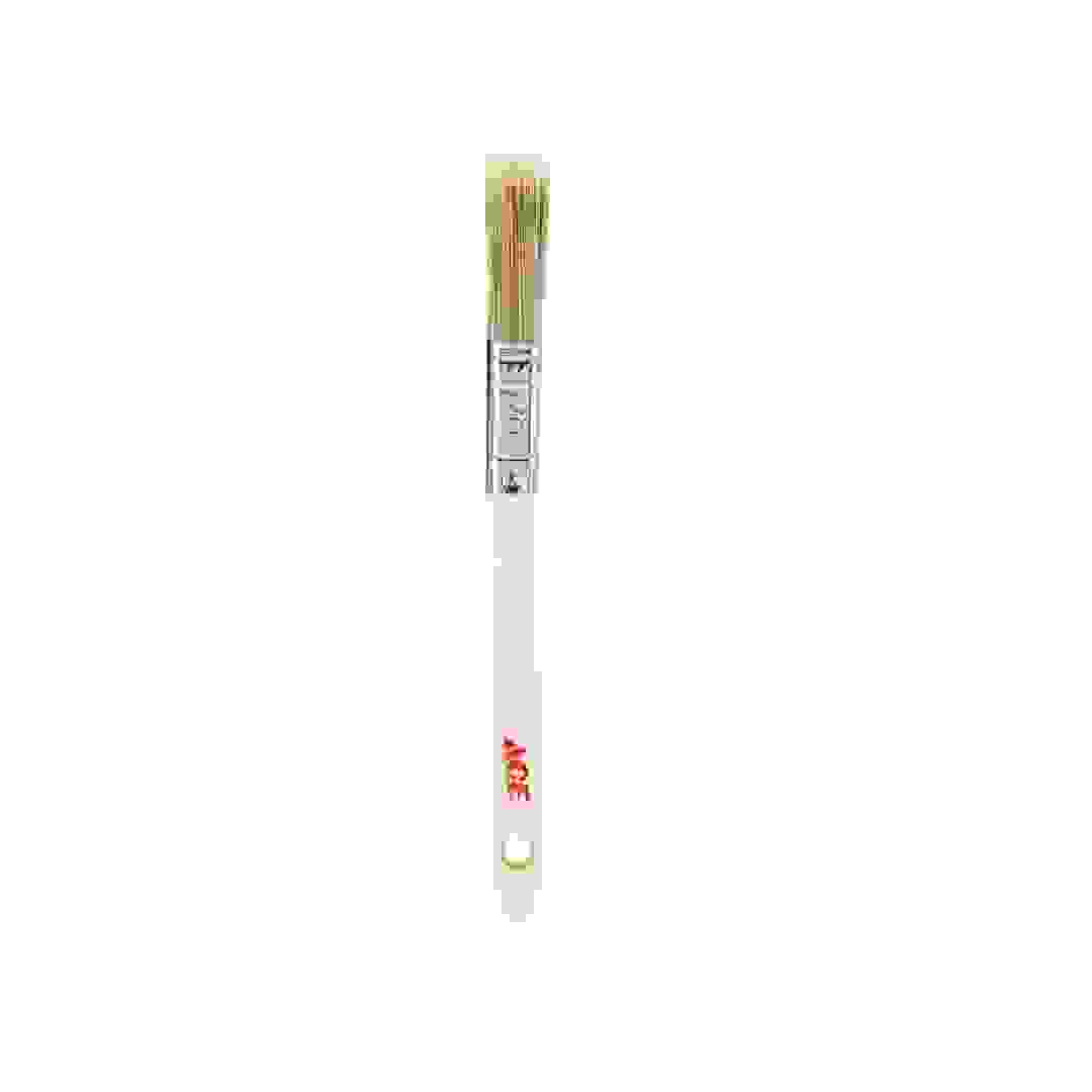 ACE Paint Brush (1.27 cm)