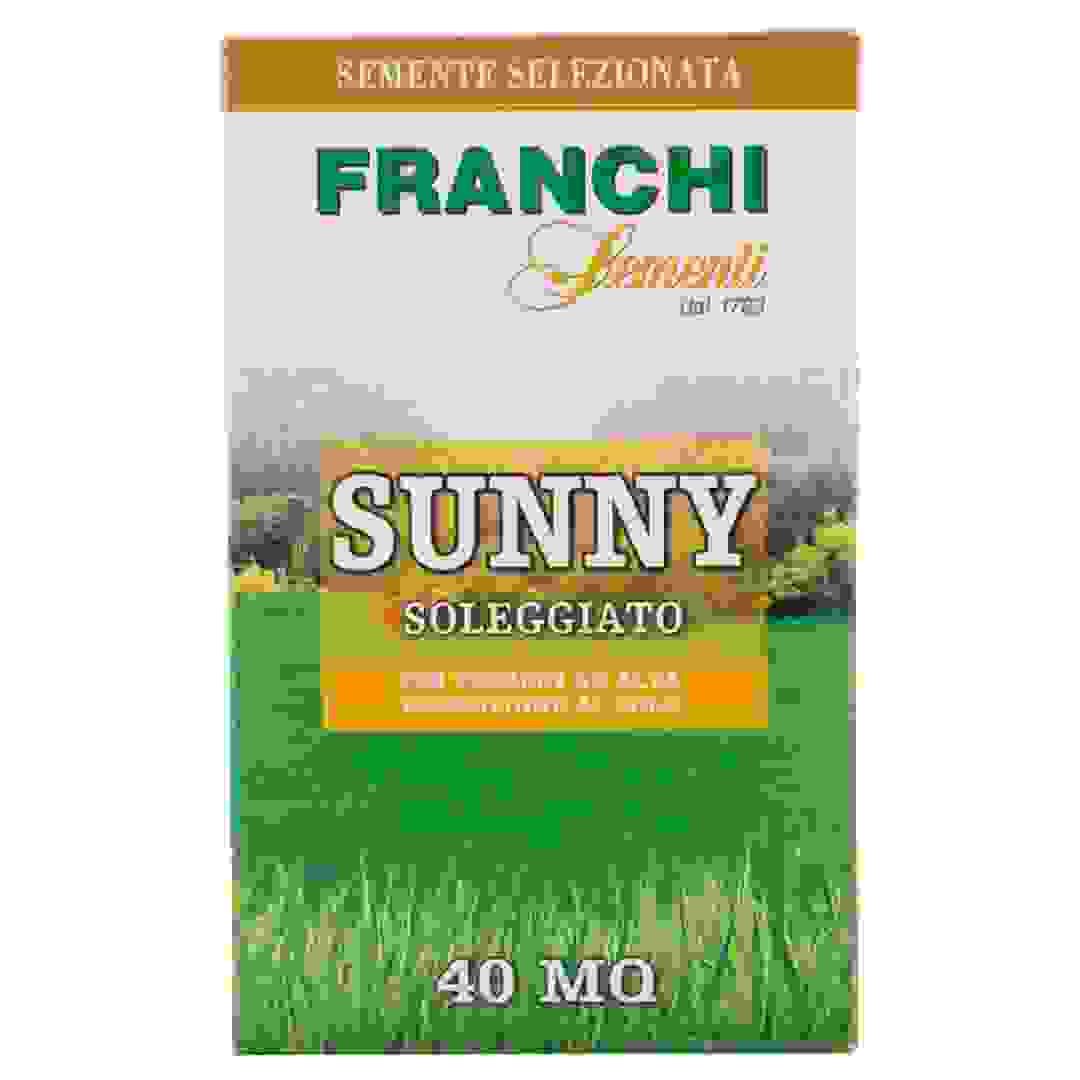 بذور حشائش للطقس المشمس