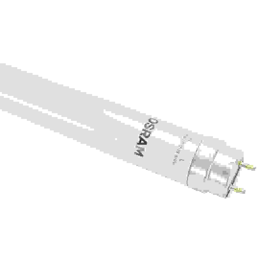 Osram T8 Fluorescent Lamp (8 W, Cool Daylight)