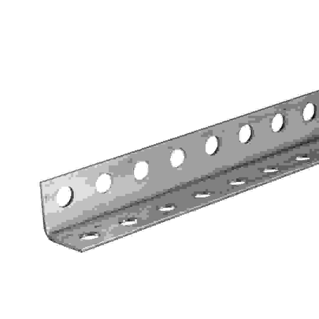 Boltmaster Zinc-Plated Steel Perforated Angle Bar (91.4 x 3.1 cm)