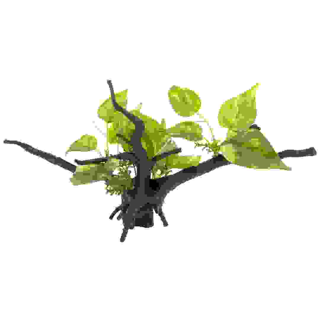 خشب نبات طافي تشيكوس (34 × 15.5 سم)