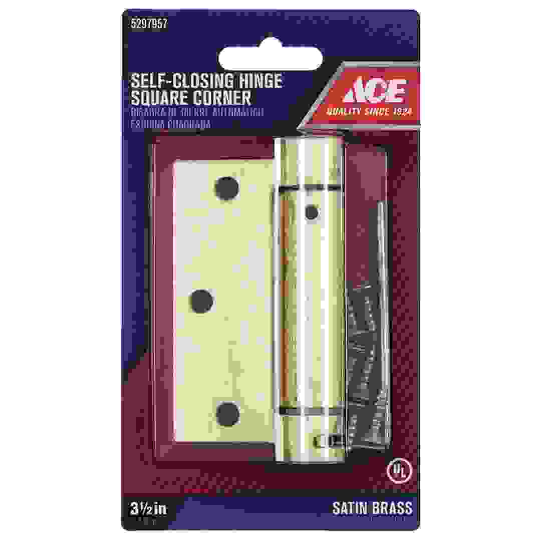 Ace Brass Self Closing Hinge (8.9 cm, 2 Pc.)