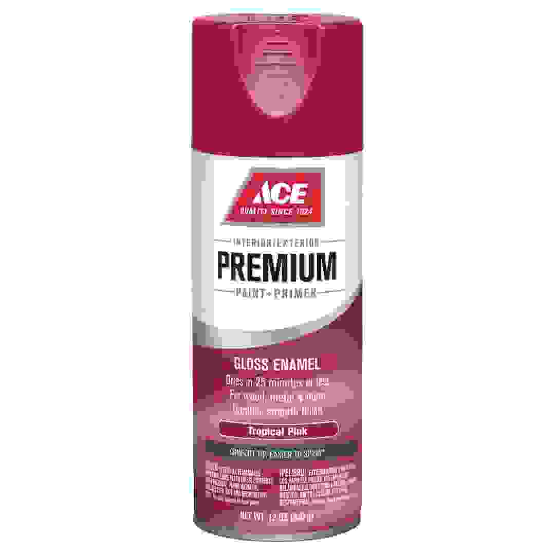 دهان بريميوم + بخاخ دهان أساس لماع إيس (340 جرام، وردي استوائي)