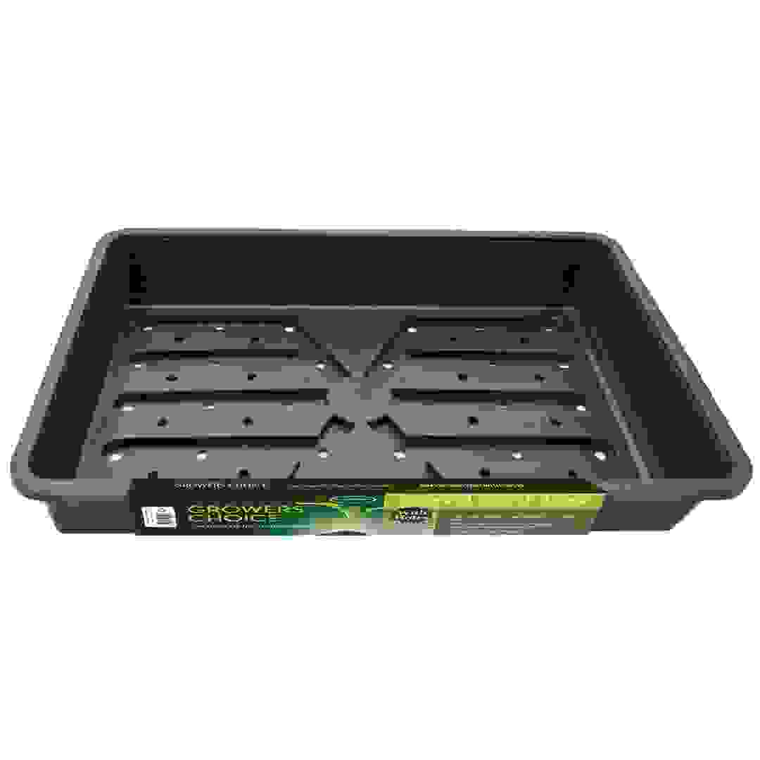 صينية زراعة بذور قوية تيلدنت