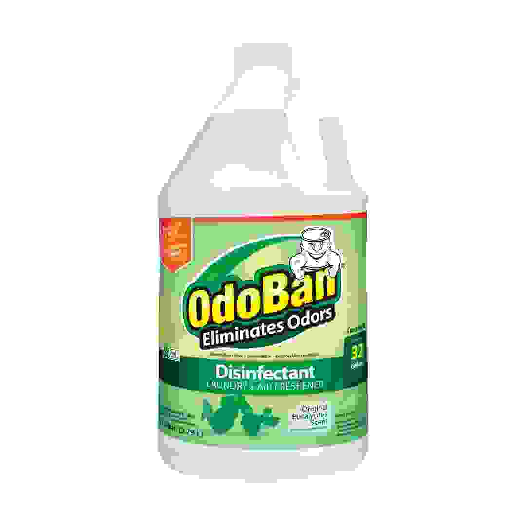 OdoBan Disinfectant Liquid (3.7 L, Eucalyptus)