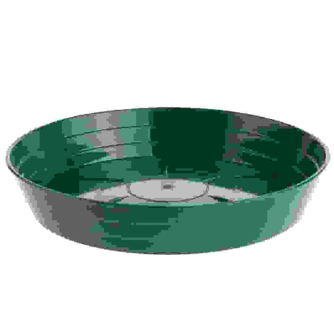 Plastic Daffodill Planter Tray (28 x 5 cm