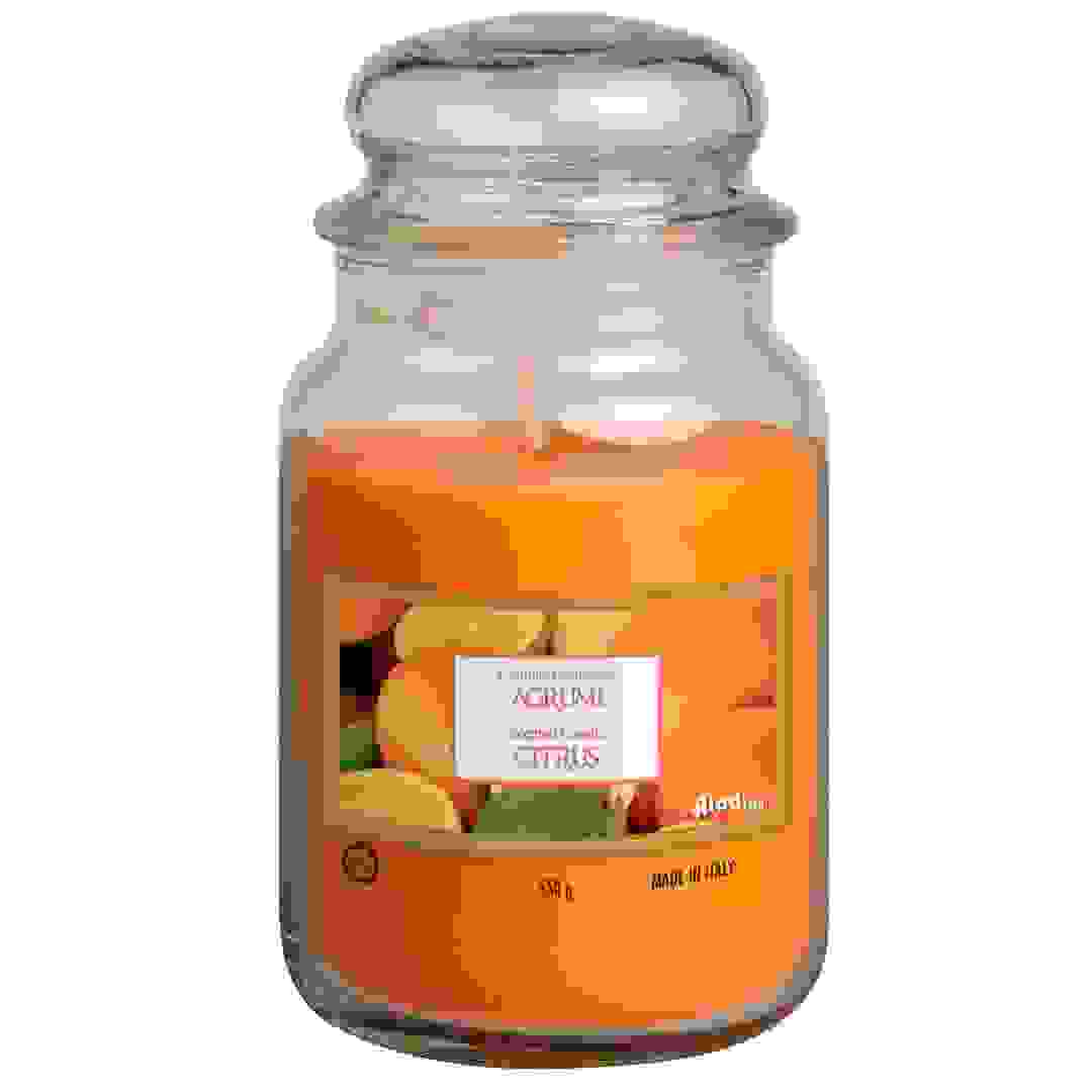 برطمان شمع ألادينو (550 جرام، كبير، حمضيات)