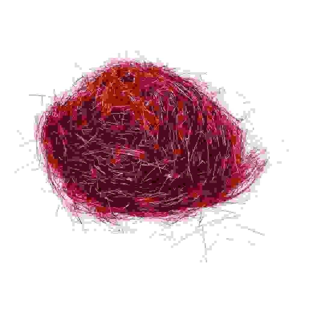 زينة احتفالية شراشيب فيري لايت انجل هير أتموسفيرا (50 جرام)