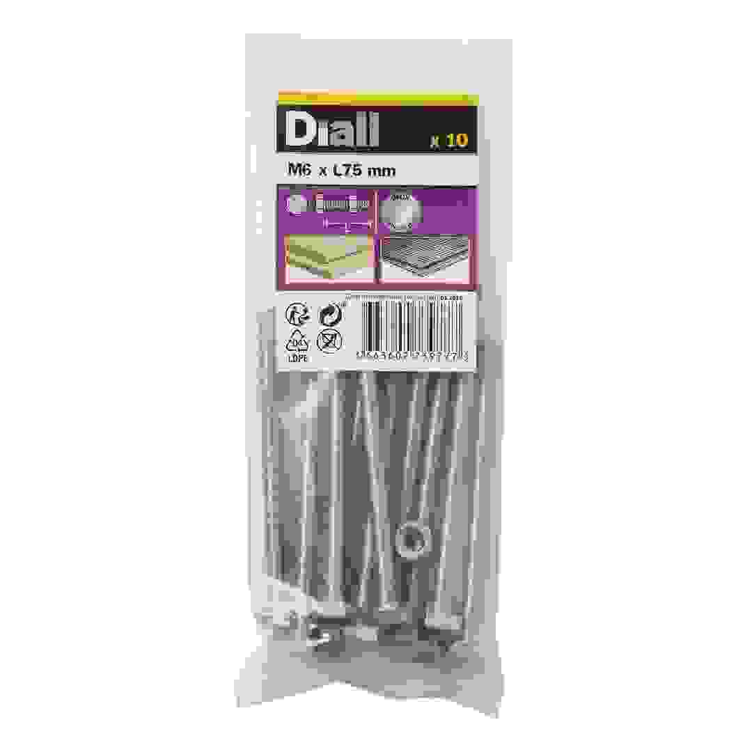 براغي وصواميل M6 سداسية ستانلس ستيل ديال (75 ملم، 10 قطعة)