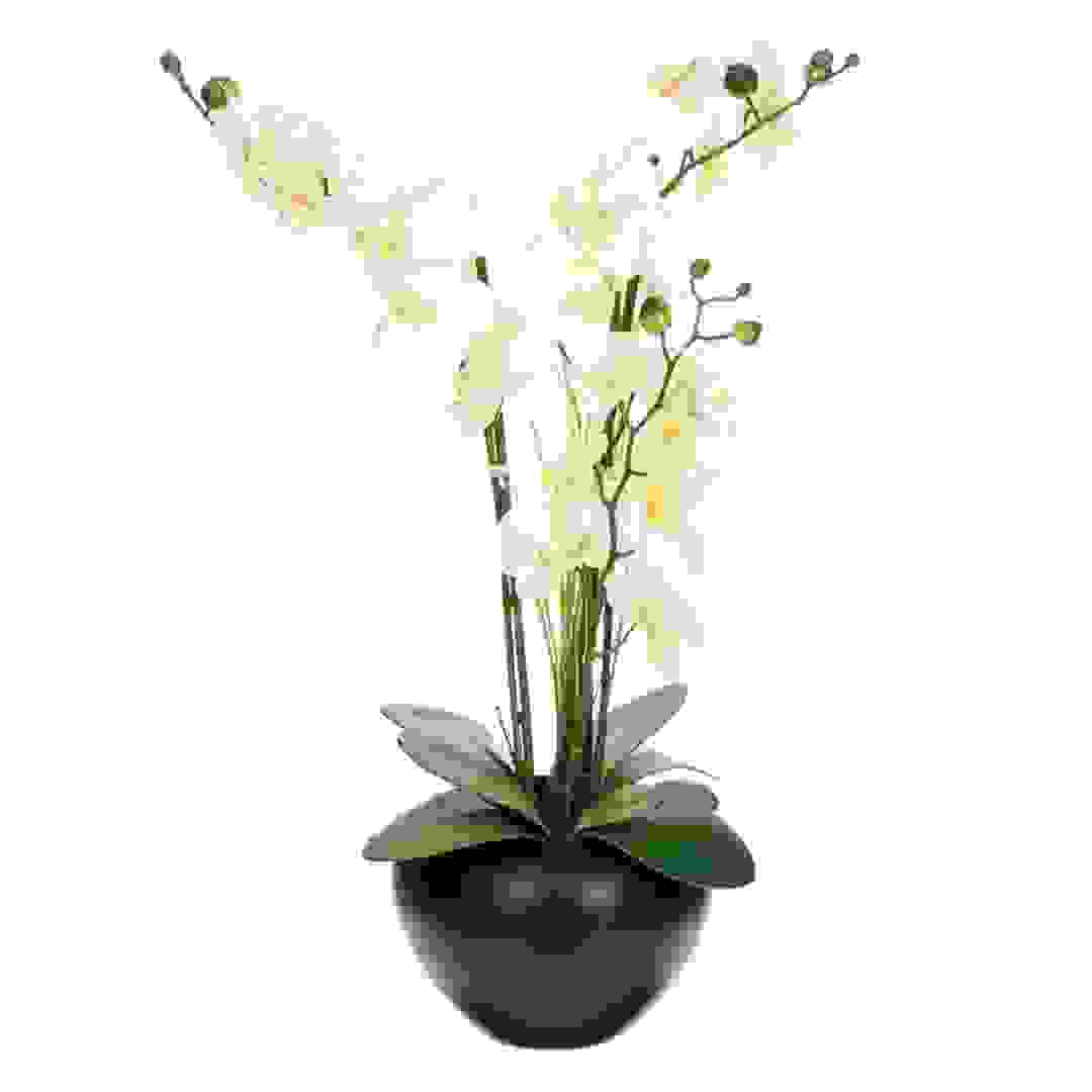 Artificial Orchid Plant W/Pot (47 x 47 x 56 cm)