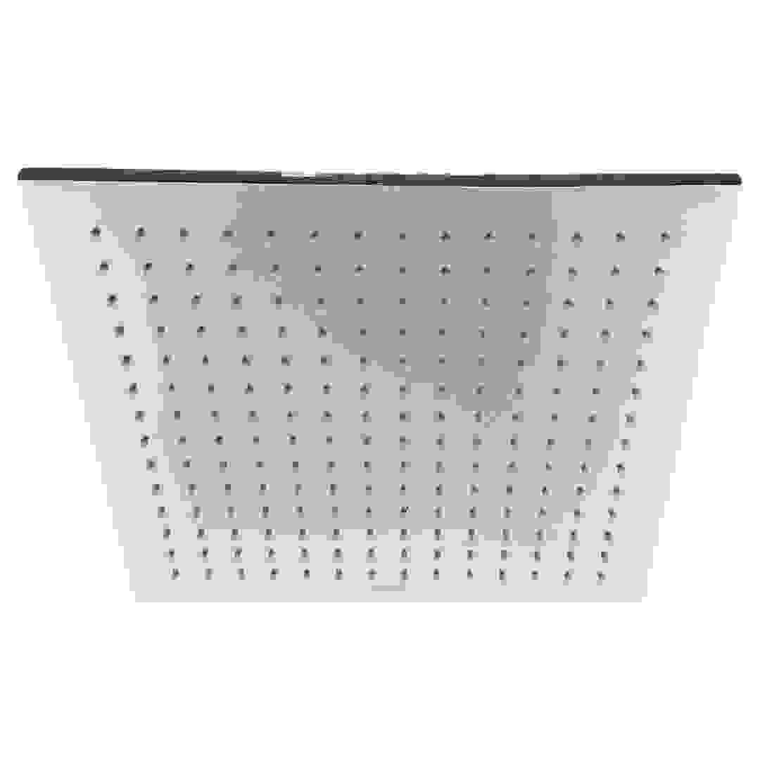 Bold Rainforest Brass Square Shower Head