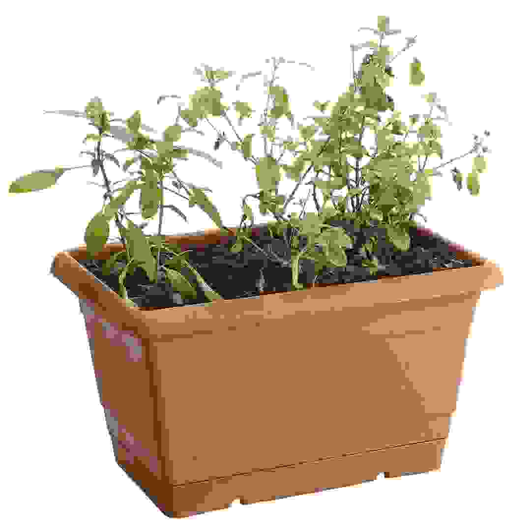 Herb Planter (24 x 15 x 15 cm)