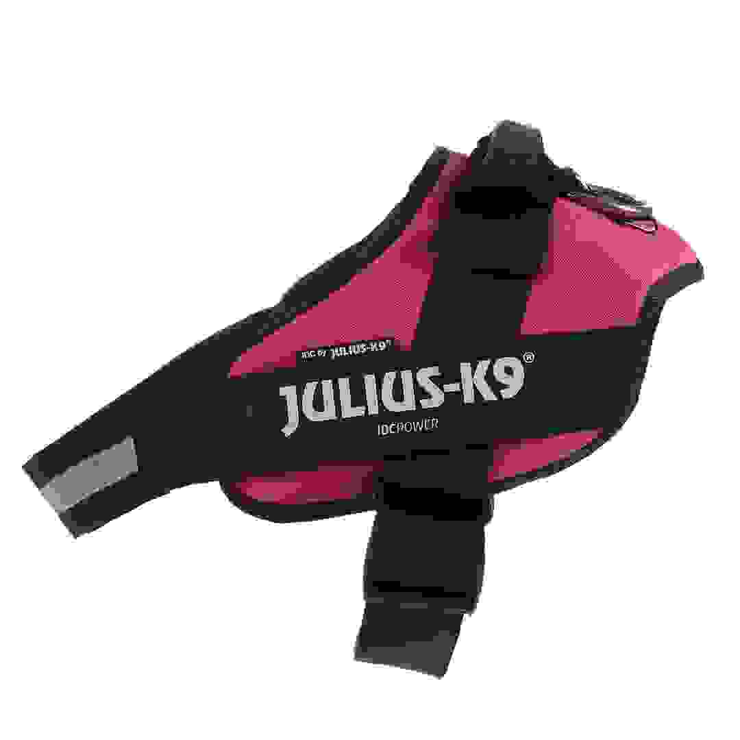 لجام كلب جوليوس K9 IDC باور هارنس (وردي غامق، قياس 3)