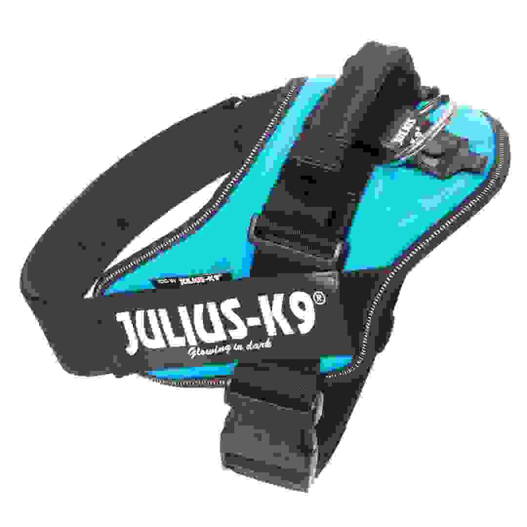 Julius K9 IDC Powerharness Dog Harness (Size 2, Aquamarine)