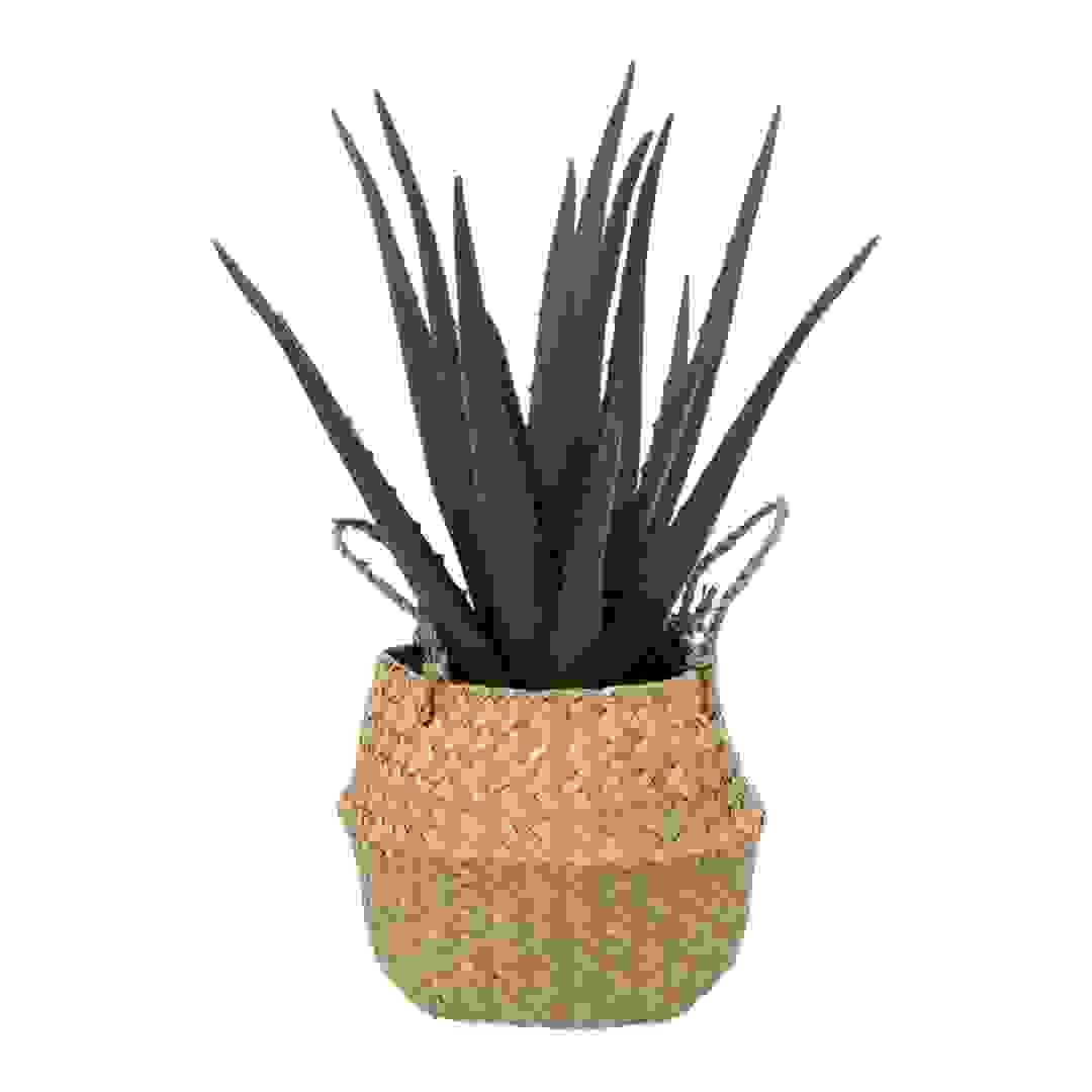 Artificial Aloe Vera Plant W/Weaved Planter (24 x 37 cm)
