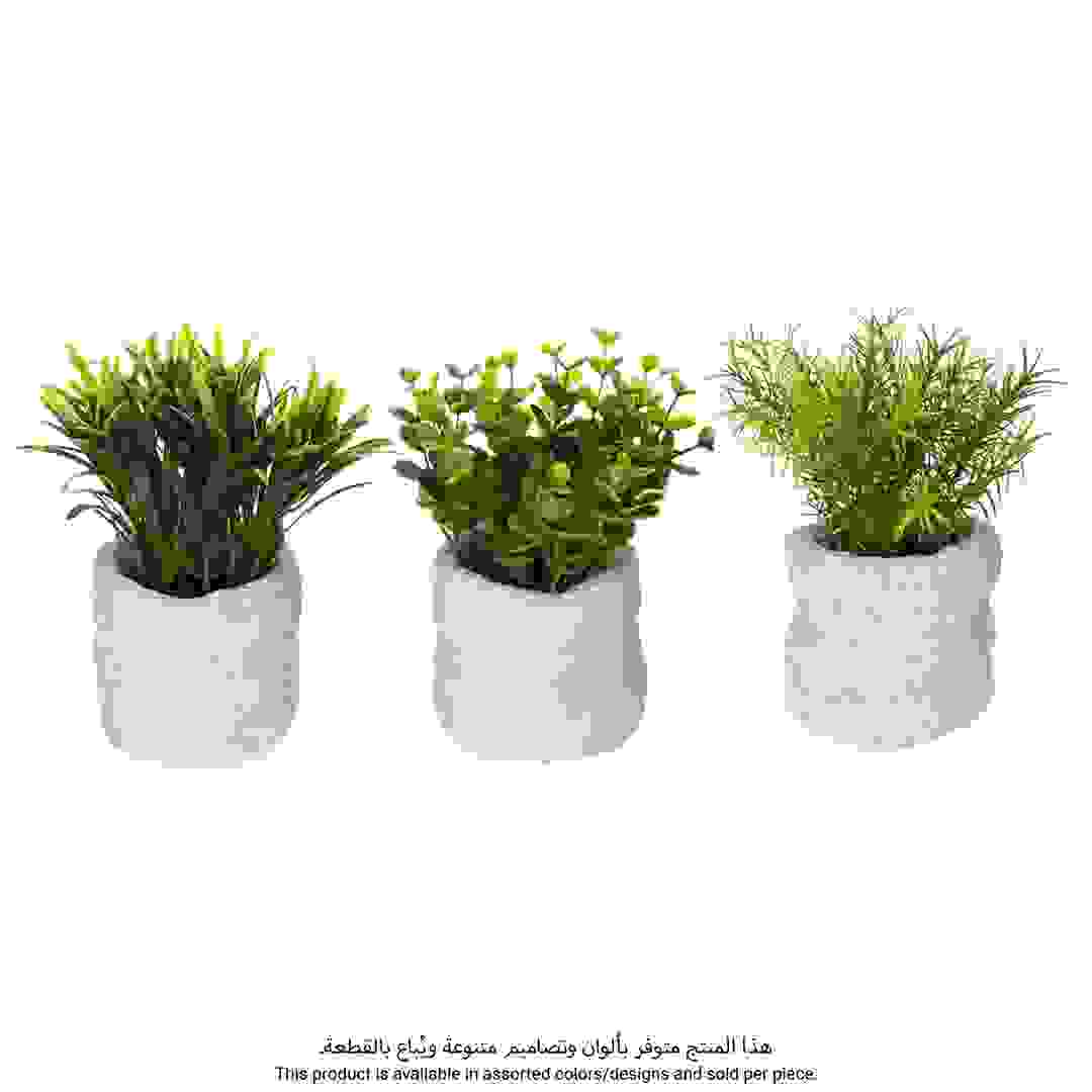 Artificial Plant W/Pot (Assorted colors/designs, 12 x 16 cm)