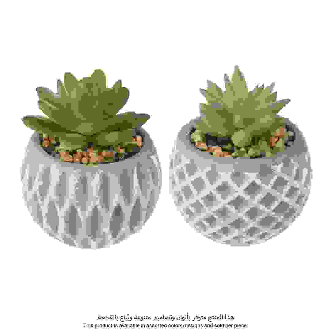 Artificial Succulent Plant W/Pot (Assorted colors/designs, 8 x 9 cm)