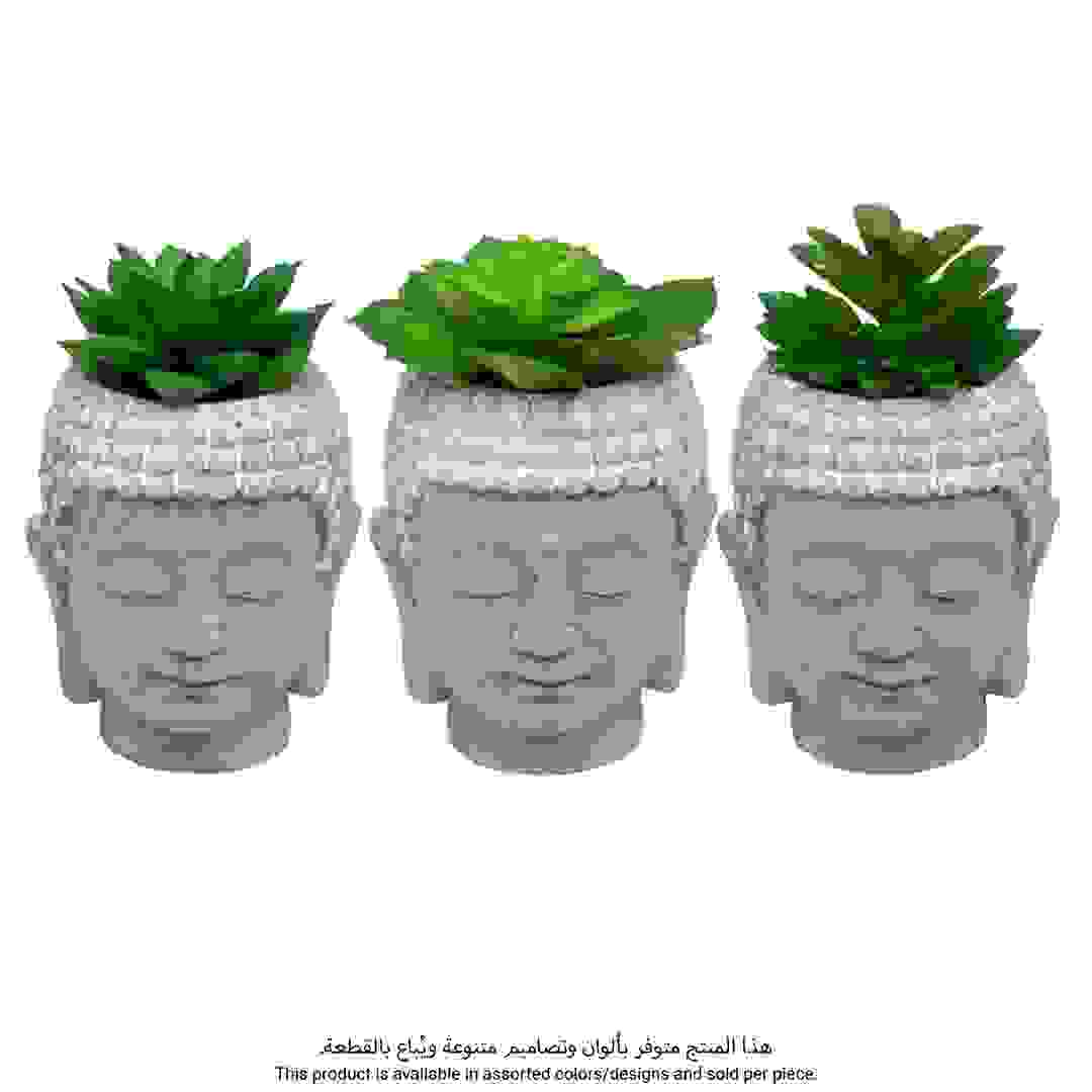 أصيص خرساني مع نبات أتموسفيرا (9 × 12.5 سم، رمادي، تصاميم متنوعة)