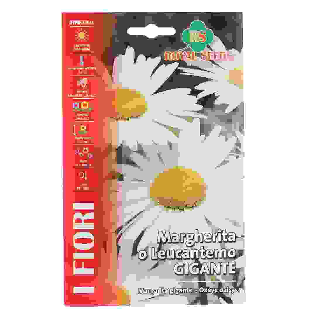 Royal Seeds Oxeye Daisy Seed Pack