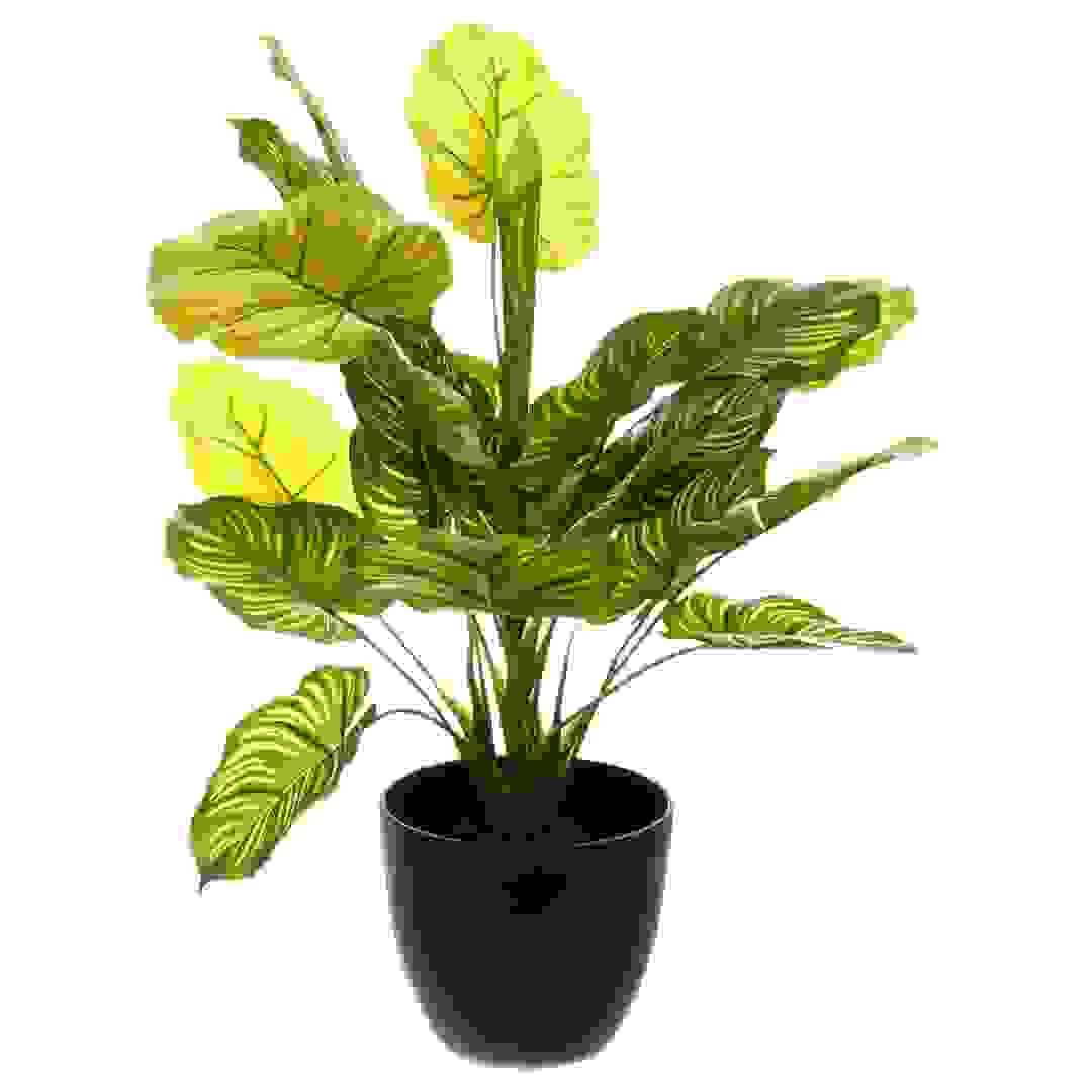 Real Touch Artificial Plant W/Pot (45 x 40 x 45 cm)