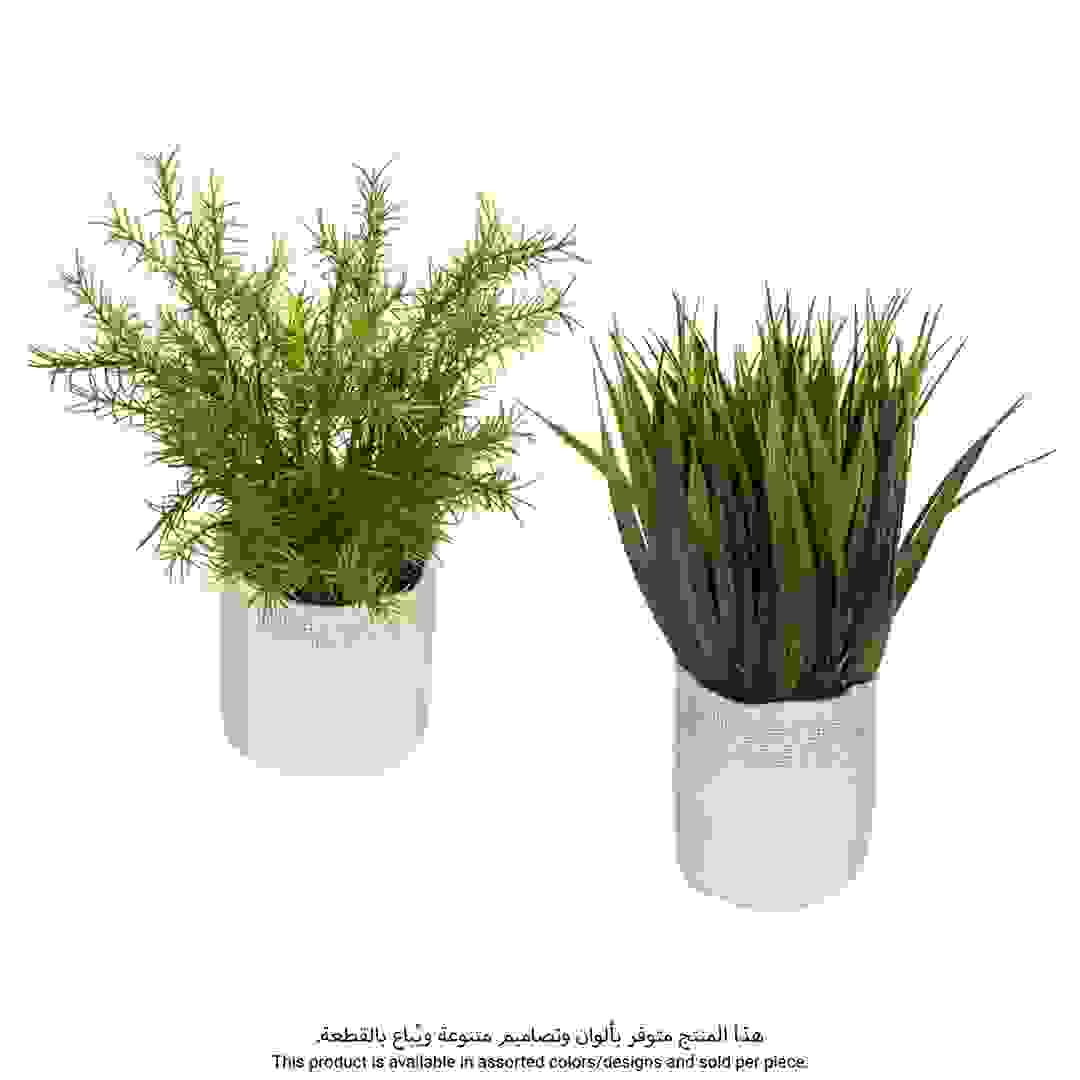 Plant Factory with Jute Pot (Assorted Designs, H. 25 cm)