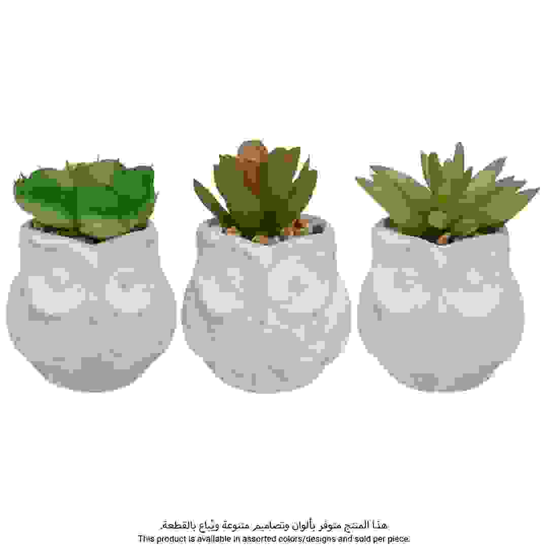 أصيص بومة مع نبات (ألوان متنوعة، ارتفاع 8 سم)