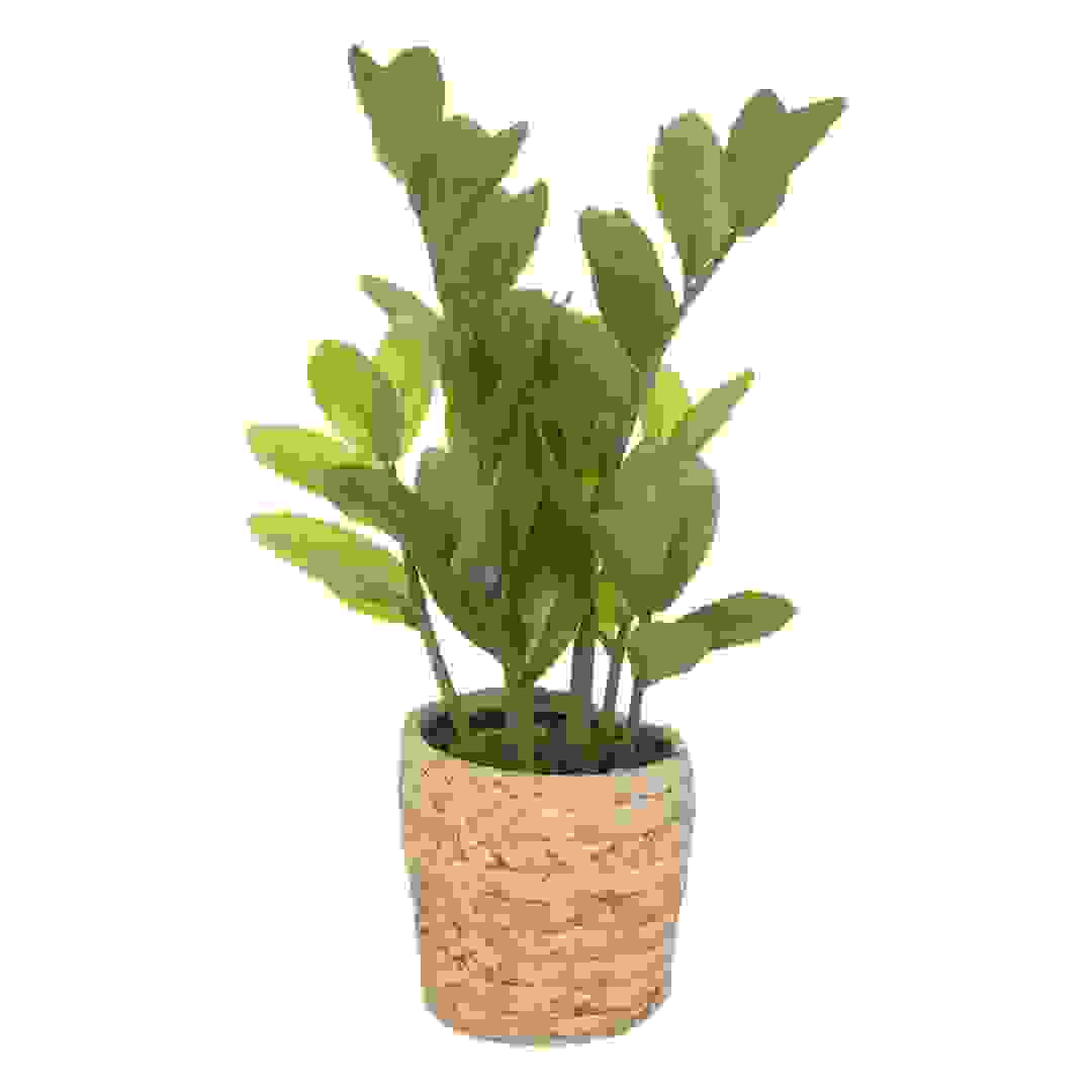 Artificial Plant W/Pot (25 x 41 cm)