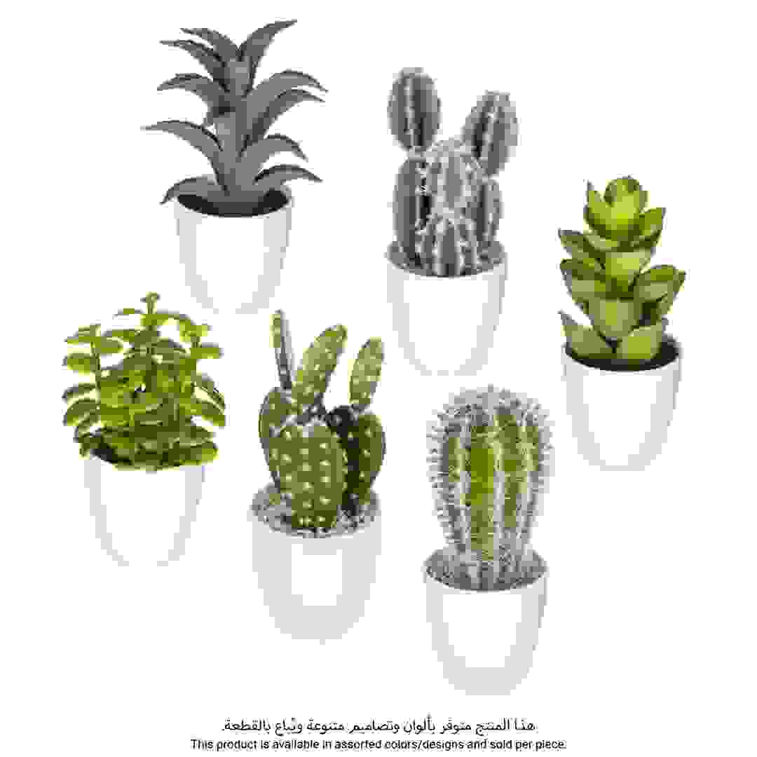 Artificial Succulent with Pot (Assorted Designs, H.18 cm)