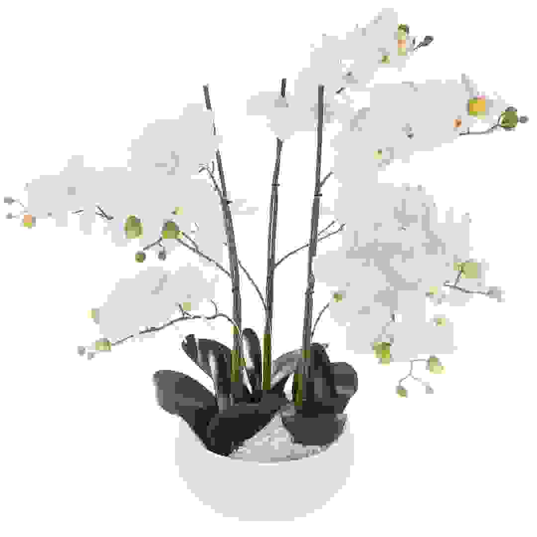 نبات أوركيد اصطناعي مع أصيص (45 × 45 × 61.5 سم)