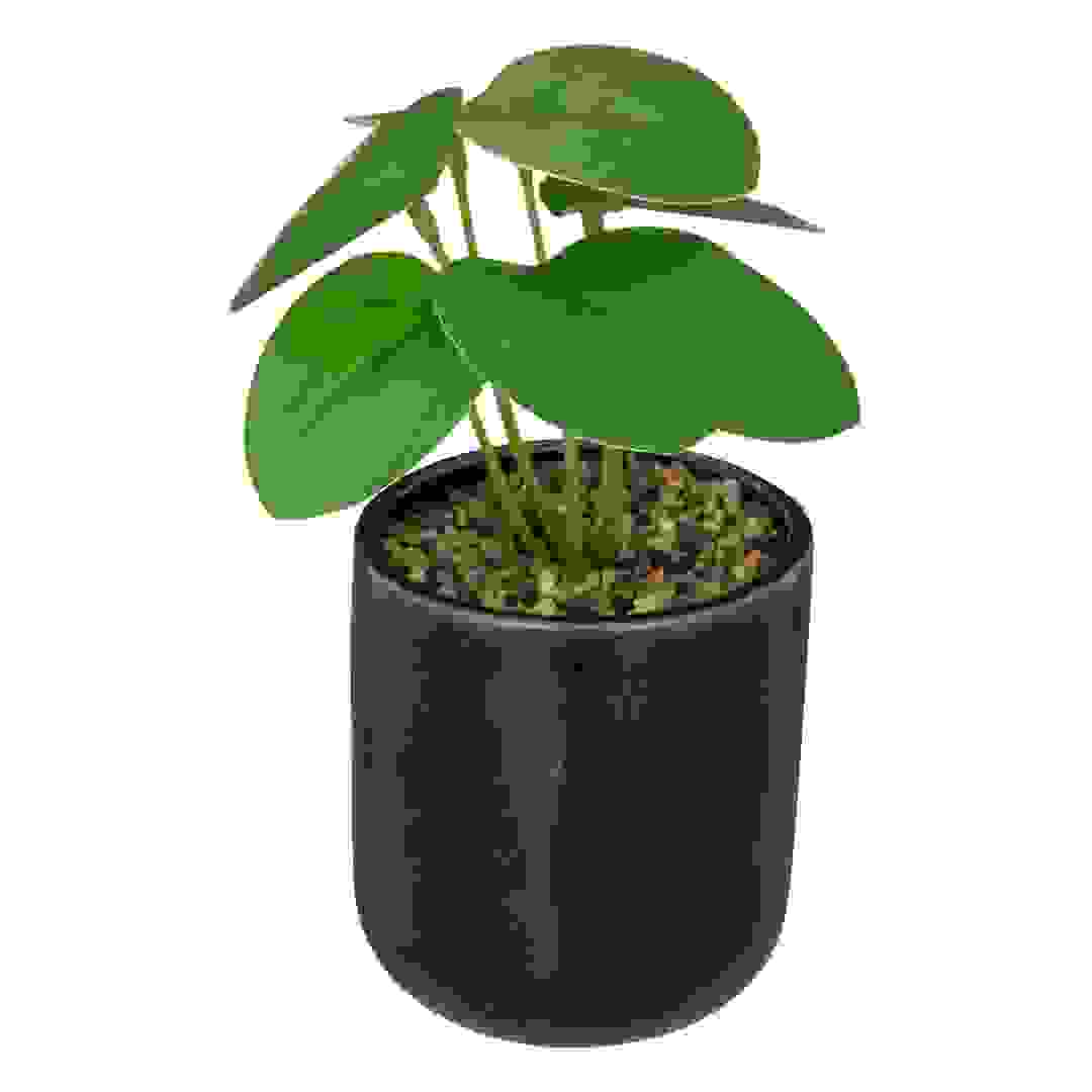 Artificial Plant W/Pot (9 x 16 cm)