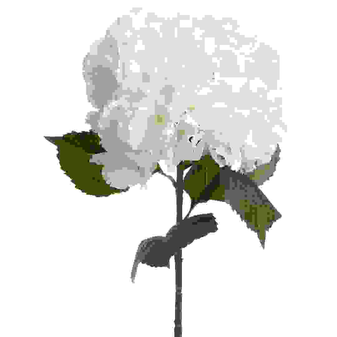 Atmosphera Decorative PE Hydrangea Stem (37 x 29 x 81 cm, White)