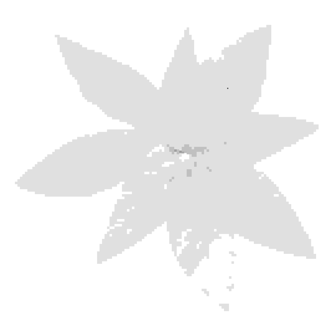 Atmosphera Clip-On Poinsettia Tree Ornament (25 x 6.5 x 25 cm, White)