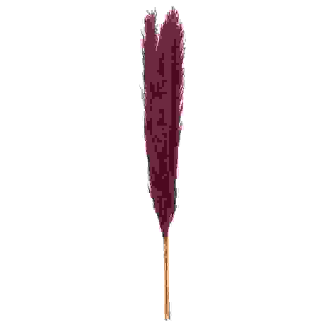Atmosphera Dried Pampas Décor (3 Pc., Ruby Red)