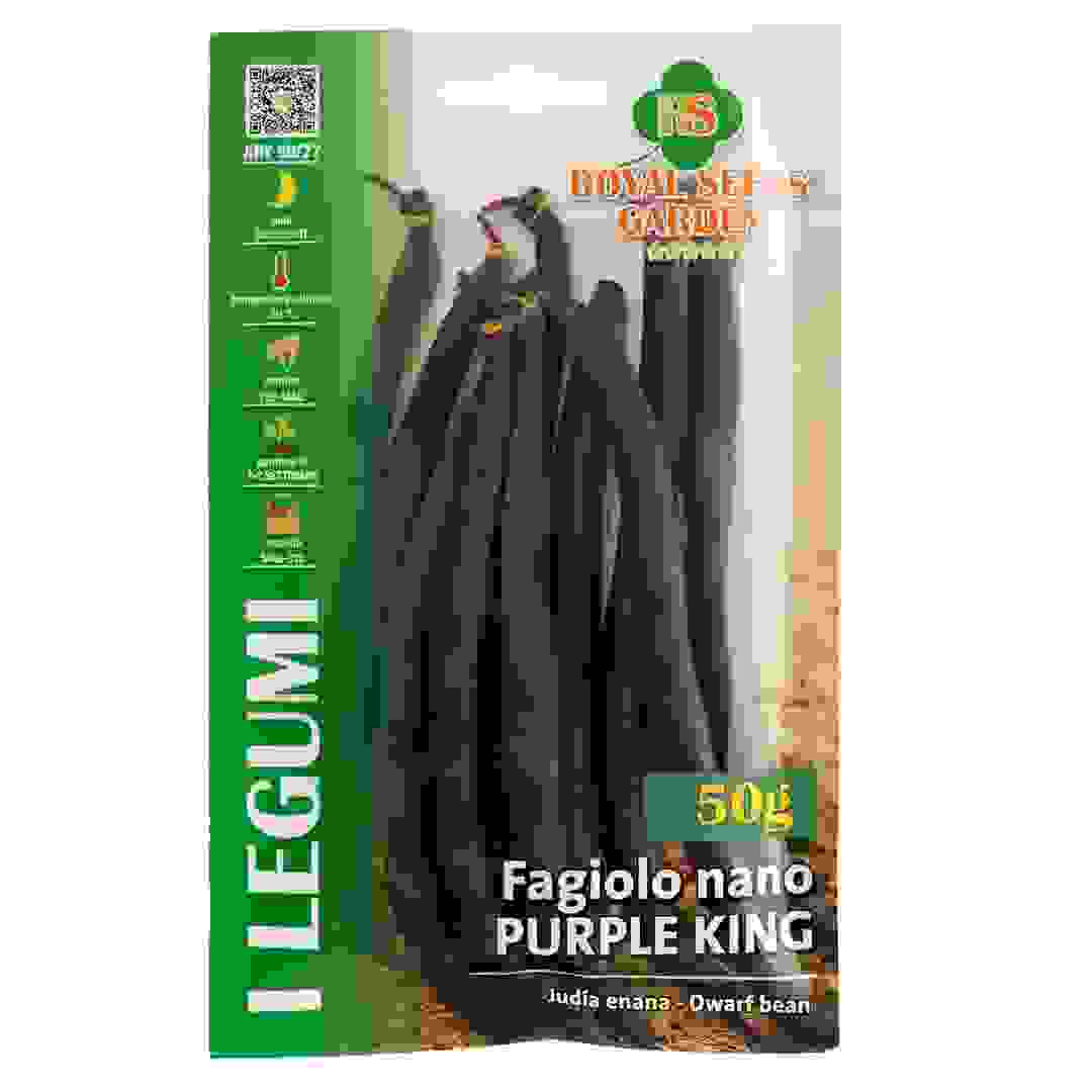 Royal Seeds Dwarf Bean Purple King Seed Pack (50 g)