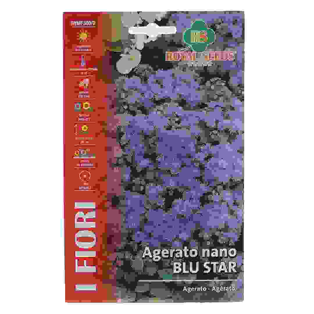 عبوة بذور زهرة أجيراتو نانو بلو ستار رويال سيدز (0.9 جرام)