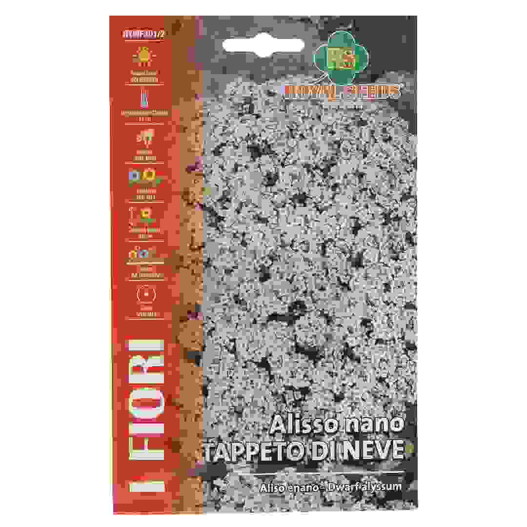 عبوة بذور أليسوم قزم كاربت أوف سنو رويال سيدز (0.9 جرام)