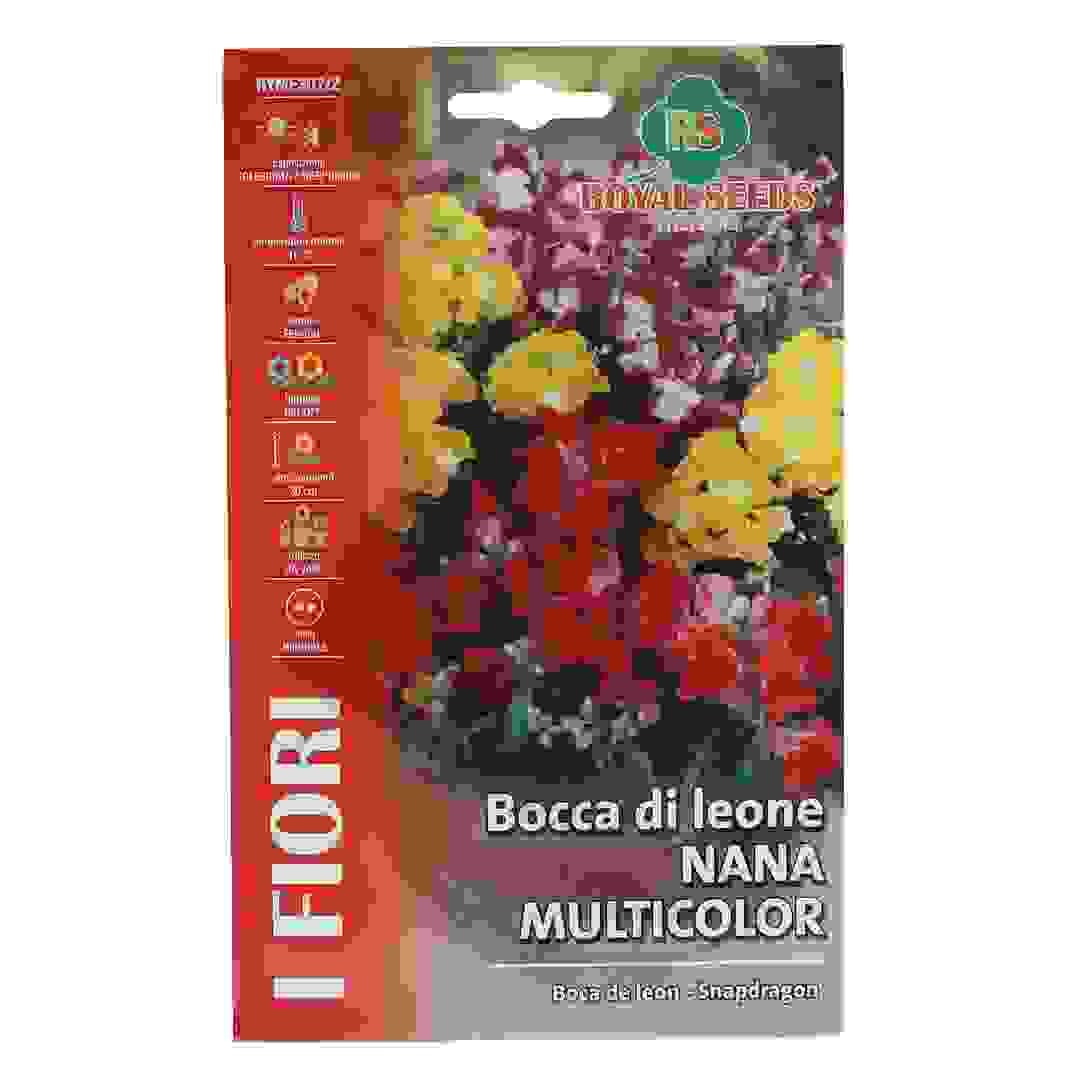 Royal Seeds Multicolor Dwarf Snapdragon Seed Pack (1 g)