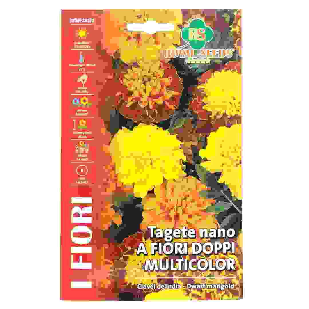 عبوة بذور قطيفة ماريجولد صغيرة مزدوجة الزهرة متعددة الألوان رويال سيدز (1.5 جرام)
